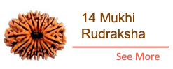 subbanner1